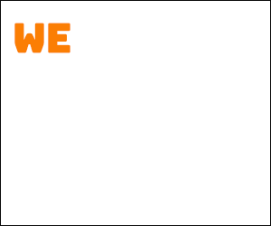 14419-Results-300X250-Banner-2-3 image