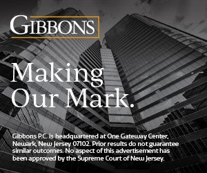 Gibbons-Jan-2025-Briefing image